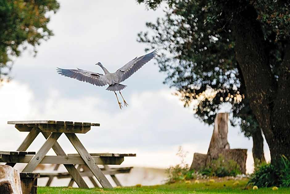 Pakiri Beach Holiday Park