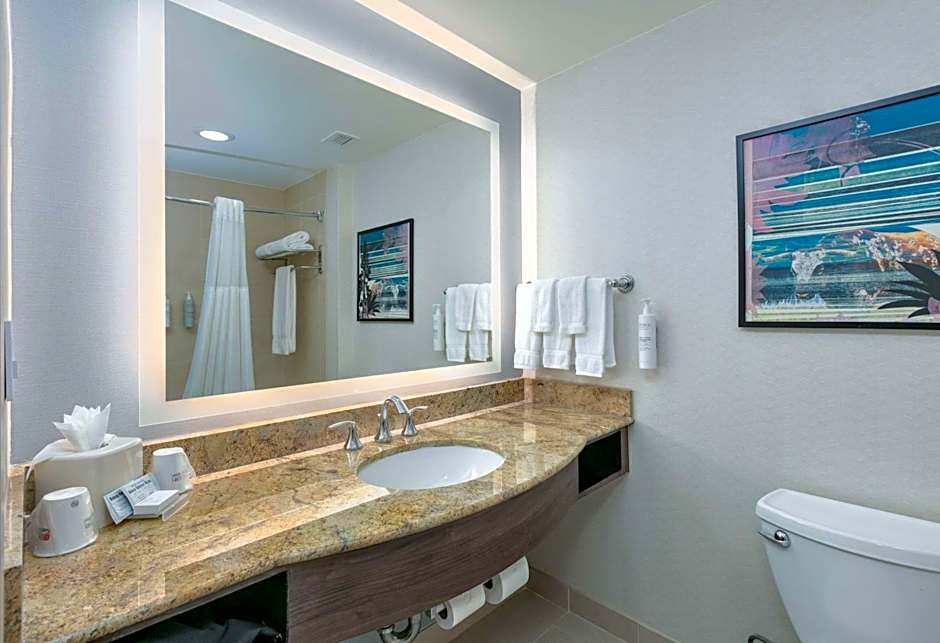 Hilton Garden Inn Dallas/Arlington