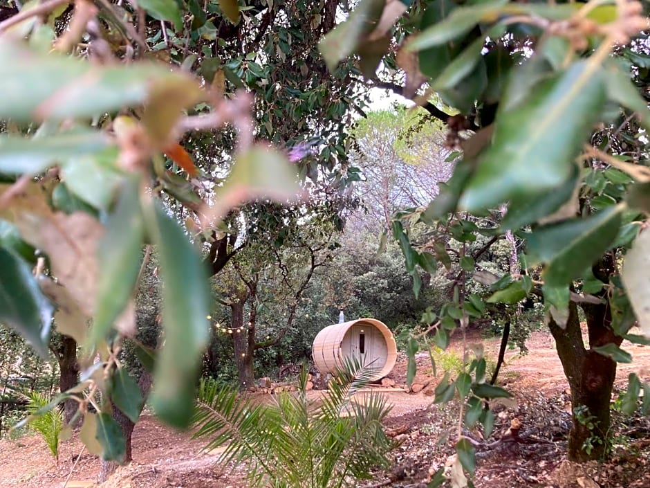 Les Horizons - SPA-JACUZZI - MASSAGE- SAUNA - 4 SAISONS - Piscine chauffée Toute l'année - 800m centre ville Nyons