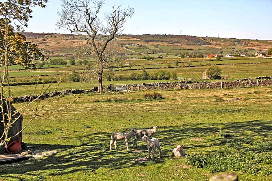 Moorland View Farm B&B