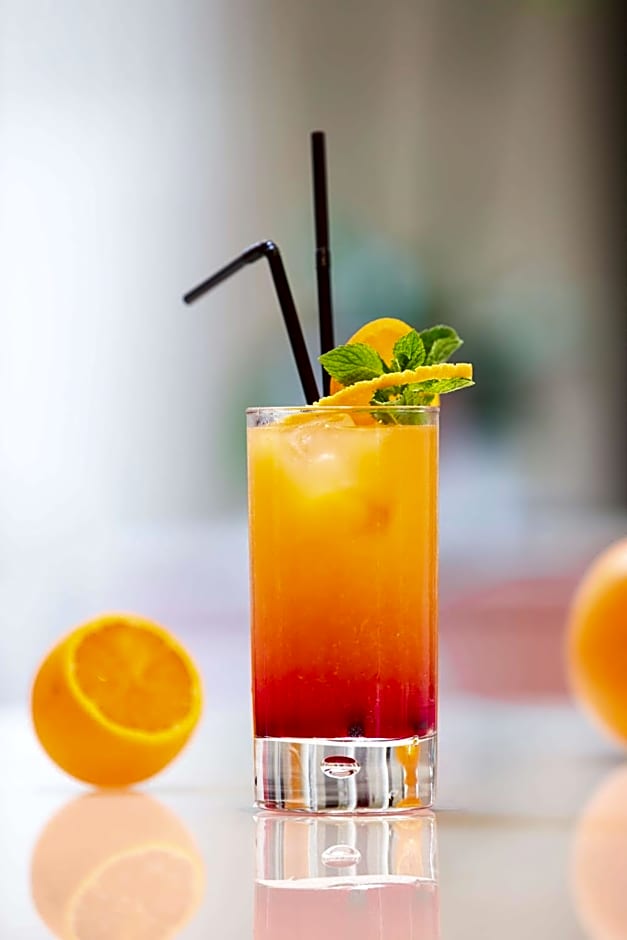 Radisson Blu Hotel Nantes