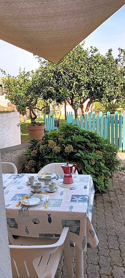 Villa Olivia Residence Ischia - Monolocali e Bilocali nel Verde con Piscine e Vista Mare