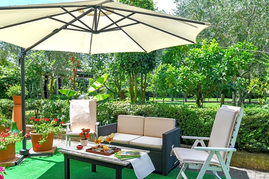 Green Paradise Affittacamere