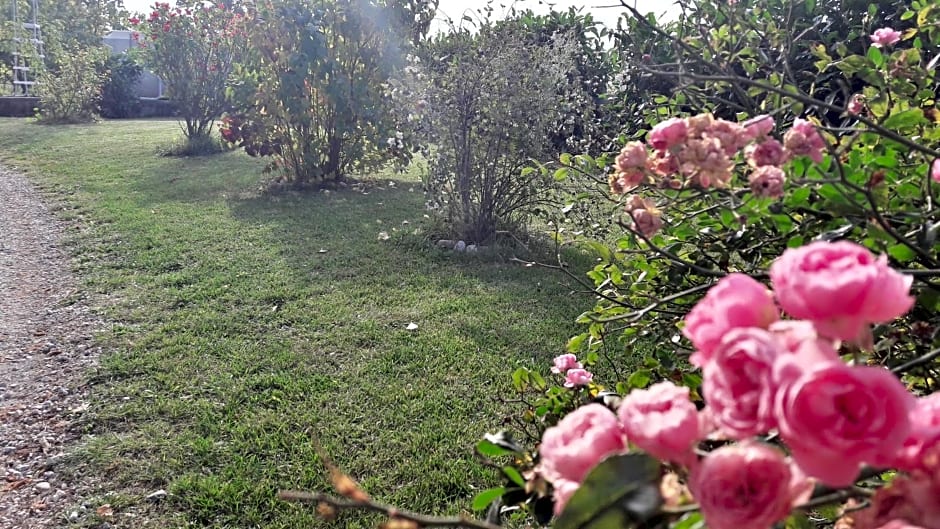 B&B Il Cardellino