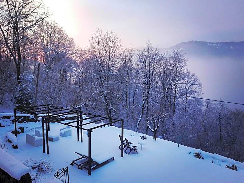 Essentia Guest House