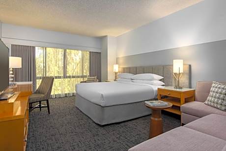 Room, 1 King Bed (Mobility/Hearing Accessible, Tub)