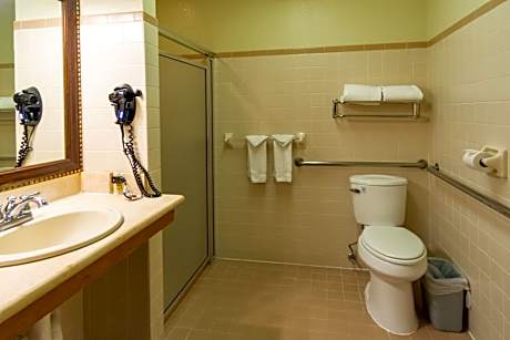 Deluxe King Studio