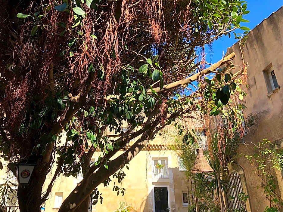 Residence Ortigia