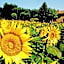 Azienda Agrituristica I Tre Casali