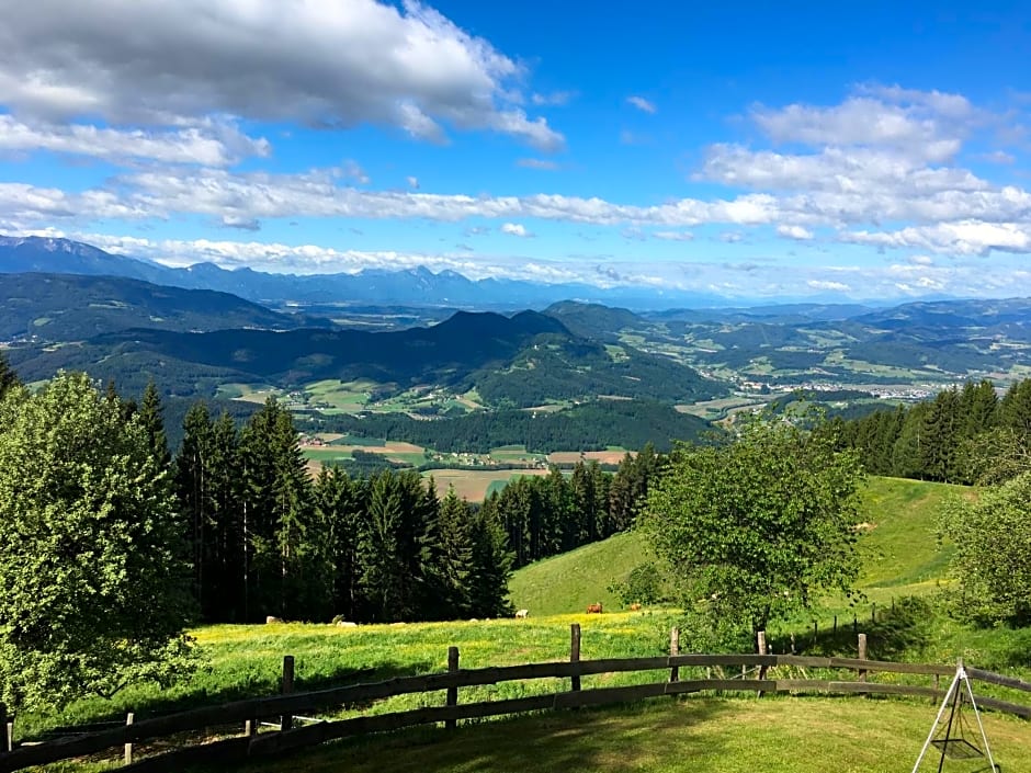 Apartments im Almhaus Bachler