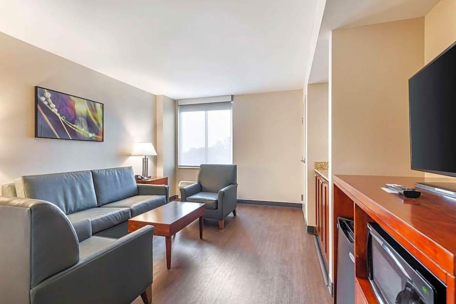 Comfort Inn Conference Center Bowie