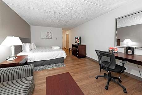 Premium King with Jetted Tub & Sofa Bed Smoke Free (Upgraded Bedding & Snack)