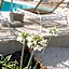 Dimora Le Ginestre Adults Only