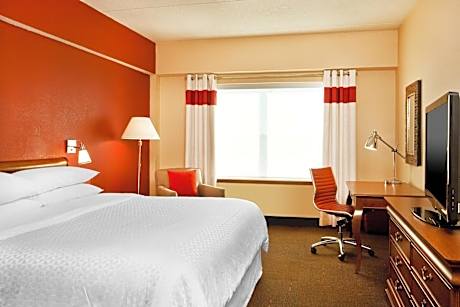 1 Bedroom Suite, 1 King, Sofa bed