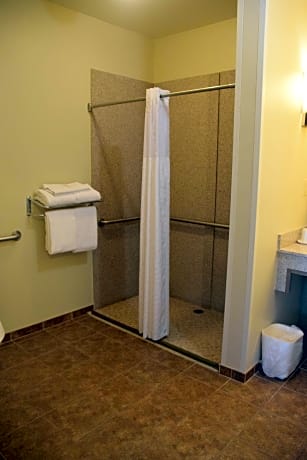 Accessible - Suite 2 Queen, Mobility Accessible, Communication Assistance, Roll In Shower