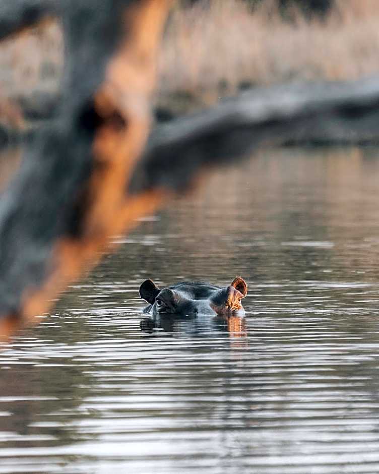 Shambala Private Game Reserve