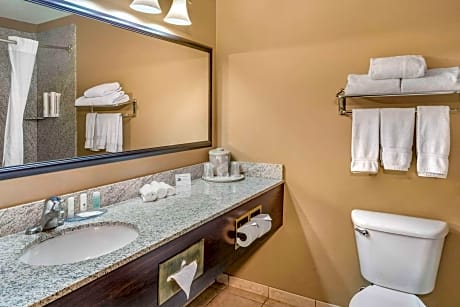 1 King Bed, Nonsmoking