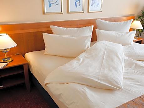 Standard Triple Room partly with Basel or Mountain View