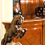 Best Western Ai Cavalieri Hotel