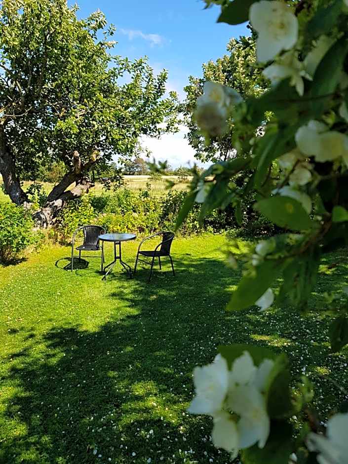 Vare 4 vandrarhem AB