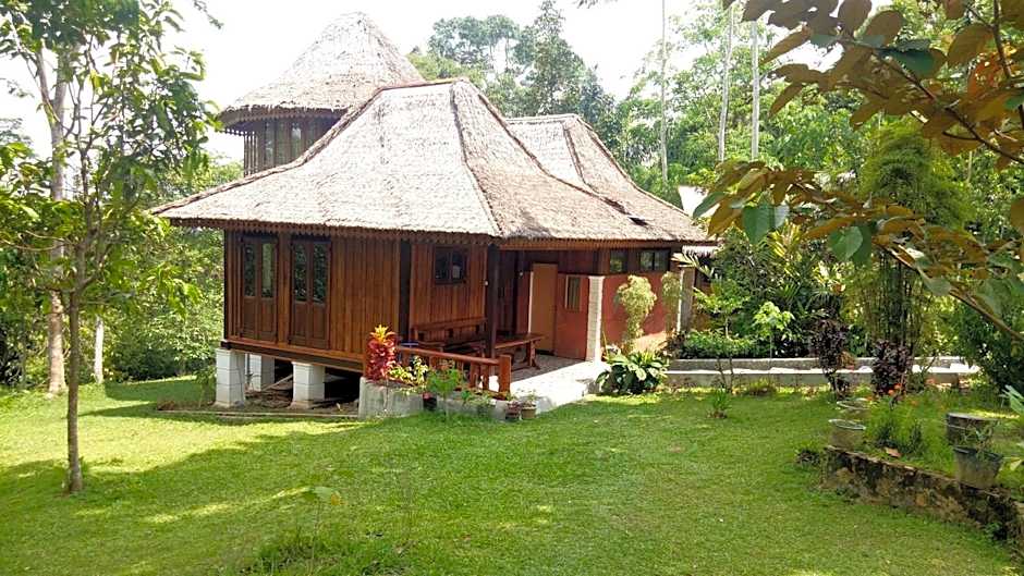 Orangutan Bungalow