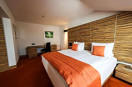 DOUBLE STANDARD ROOM