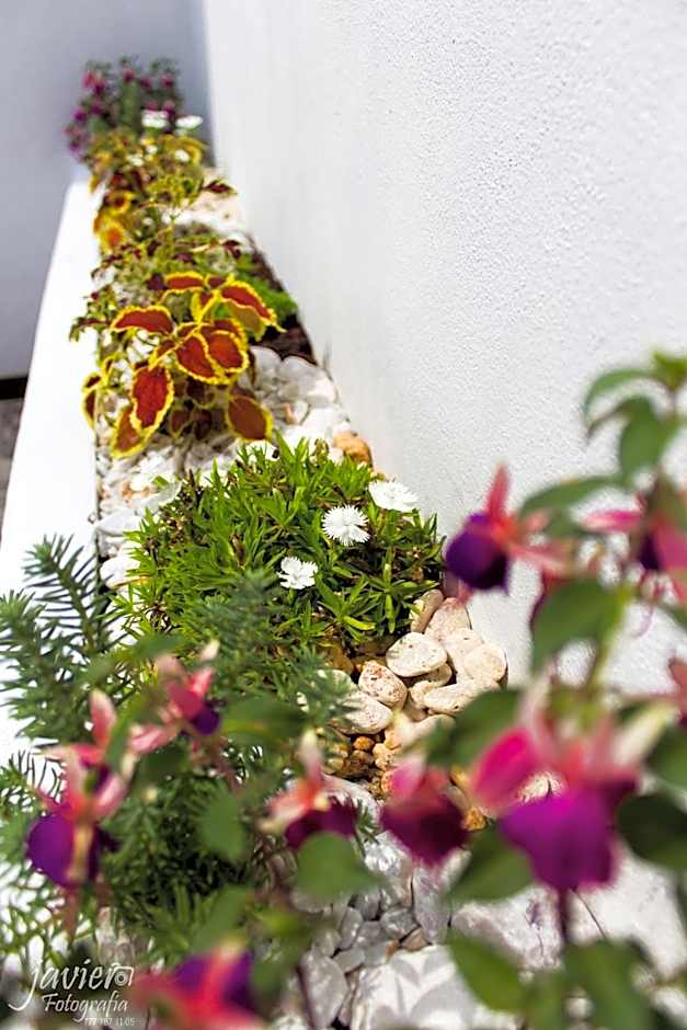 LOFTS en Cuernavaca con alberca climatizada