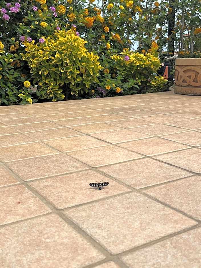 Residenza De luca B&B