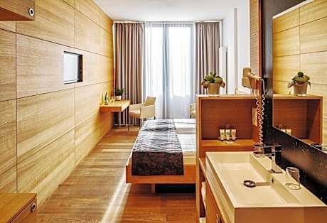 Double Room with Partial Lake View