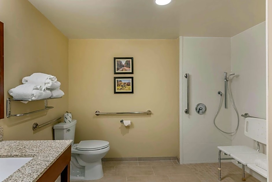 Comfort Inn Petersburg - Fort Lee