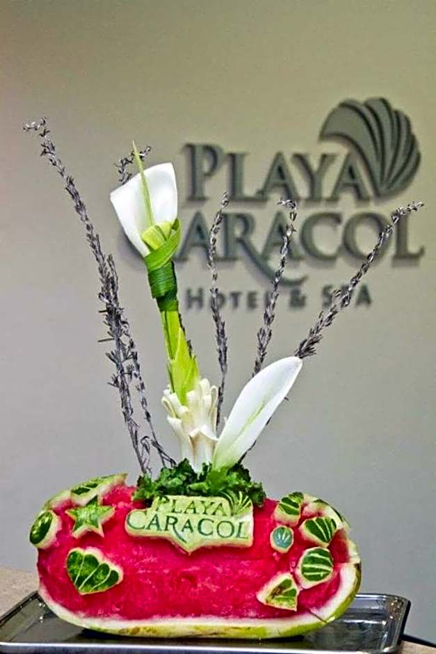 Playa Caracol Hotel & Spa