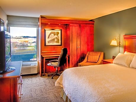 1 King Bed Non-Smoking