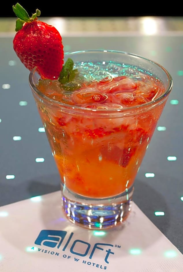 Aloft Arundel Mills BWI Airport