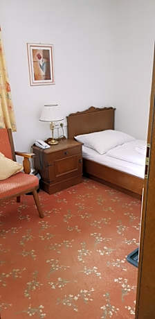 Single Room - View of Zellerberg