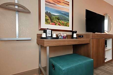 Queen Room with Bath Tub - Disability Access/Non-Smoking