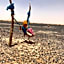 Desert Camel Trekking Camp