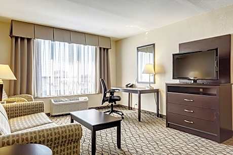One-Bedroom King Suite