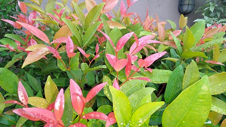 Grand 7 Hotel Thalawathugoda