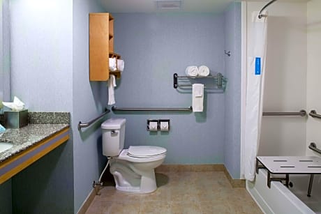 1 King Bed Studio Suite W/ Sofabed Nonsmoking