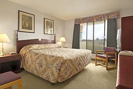 1 King Bed Efficiency Smoking