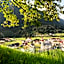 Bergsporthotel Antonie