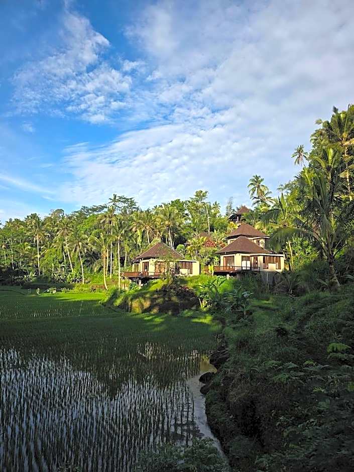Tirta Sari