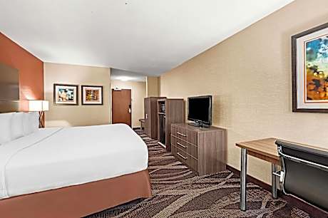 1 King Bed Non-Smoking Microwave And Refrigerator Wi-Fi Full Breakfast