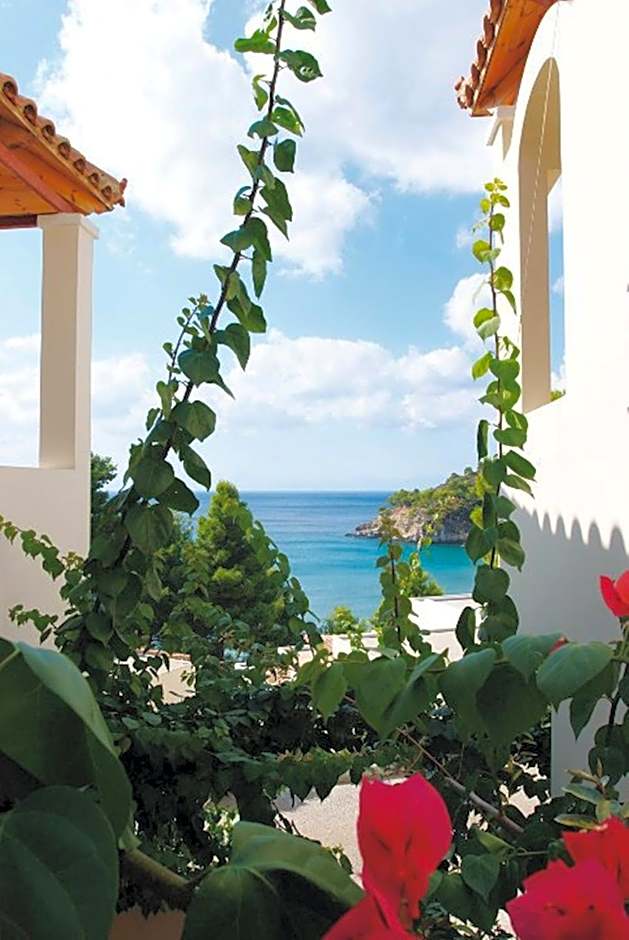 Alonissos Beach Bungalows And Suites Hotel