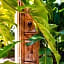 Parrot Key Hotel & Villas