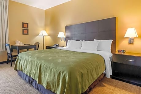 King Room with Roll-In Shower - Accessible/Non-Smoking