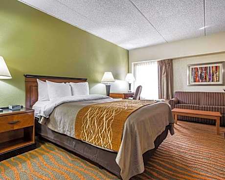 1 Queen Bed, Nonsmoking