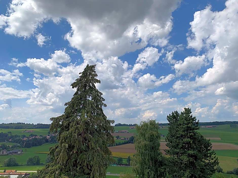 Hôtel Lion d'Or Romont
