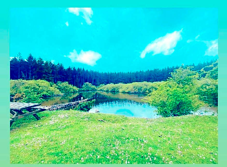 The Snug at Coed Y Gaer