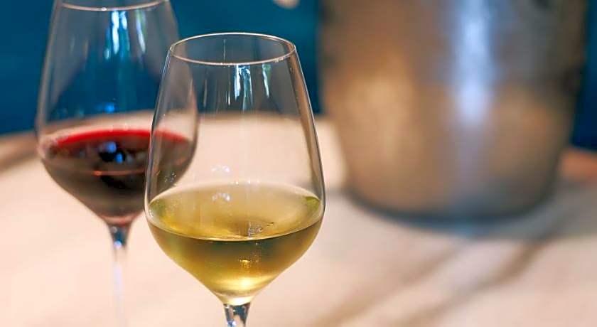 Hotel MvsaMichelin 2 Starred Molino de Urdániz